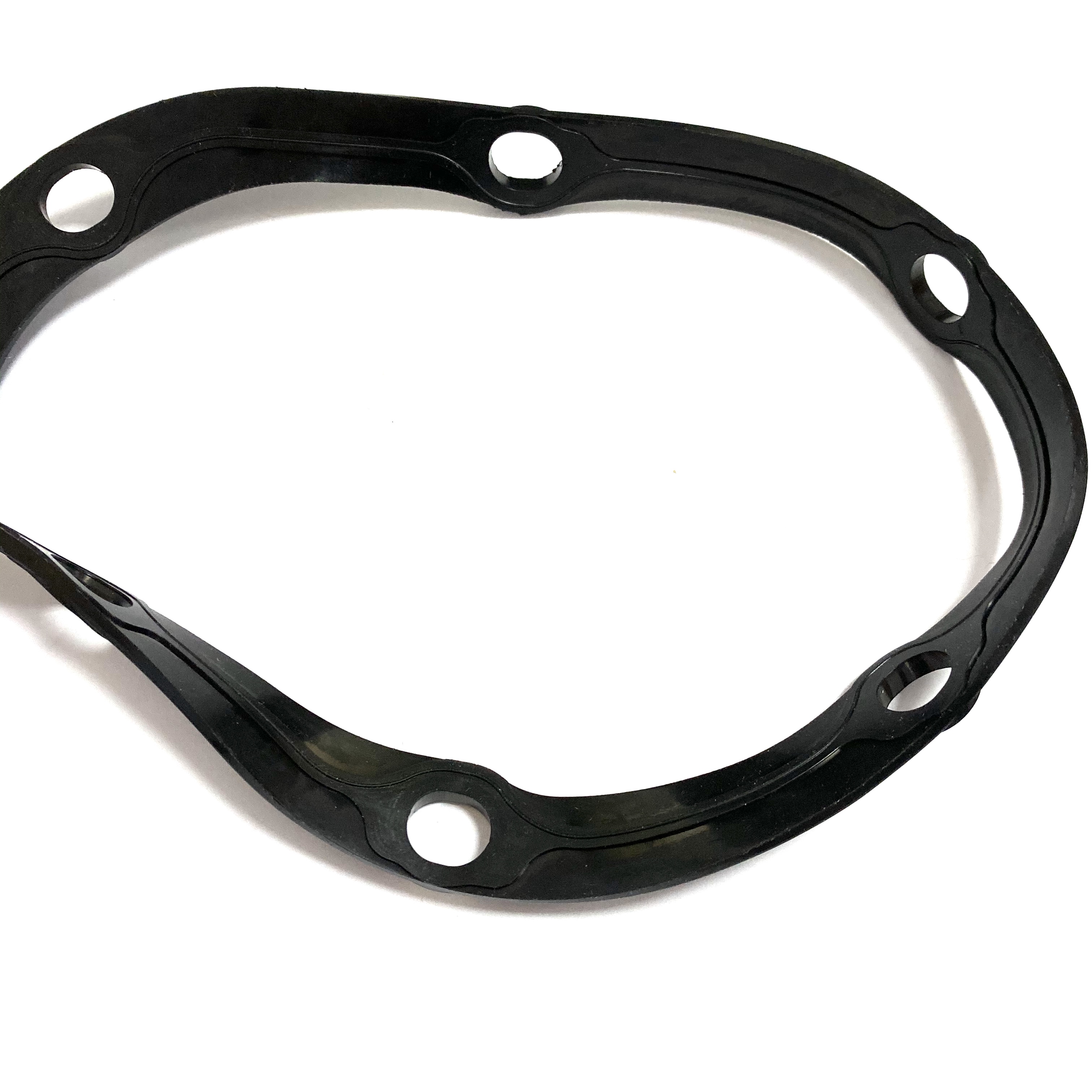 oil pan gasket(10)