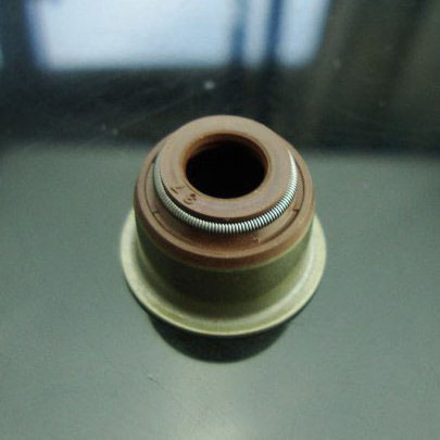 valve stem seal (9)