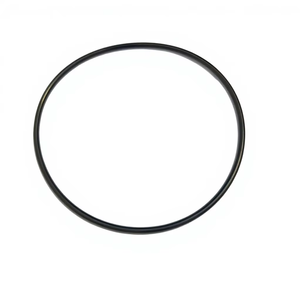 XTSEAO Industrial Rubber O Ring 179*5 Mm Silicone PU Plastic Automotive Mechanical Seal High Quality