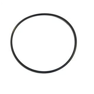 XTSEAO Industrial Rubber O Ring 179*5 Mm Silicone PU Plastic Automotive Mechanical Seal High Quality